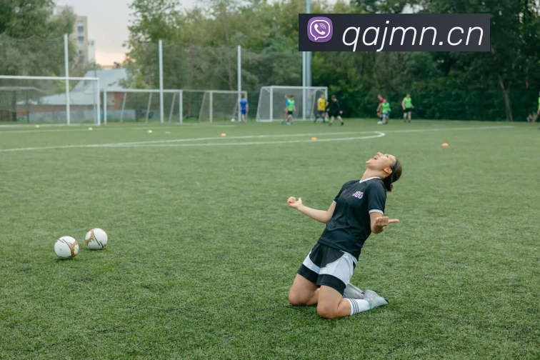 开云官网服务体系